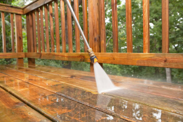 Best Pressure Washing Company Near Me  in Reading, MI