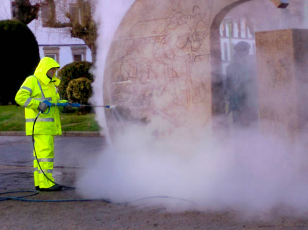 Best Local Pressure Washing Services  in Reading, MI