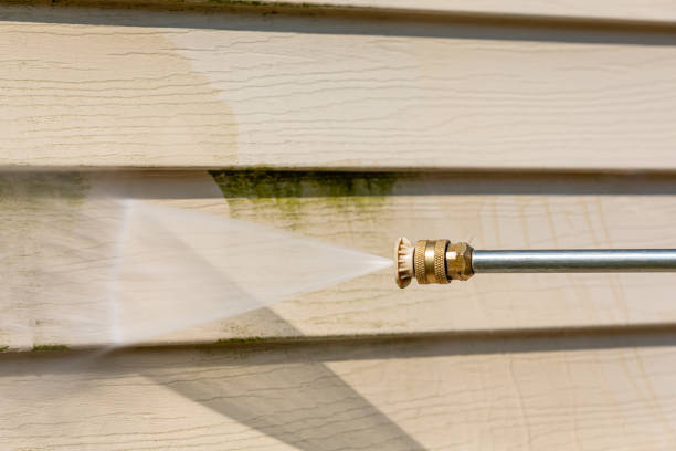 Best Residential Pressure Washing Services  in Reading, MI